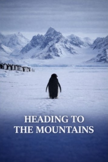 Penguin Heading to the Mountains Meme Viral Adventure