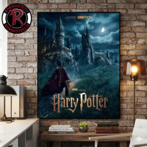 Harry Potter Series HBO Fan Made Poster By Jose Buzon Poster Canvas Decor