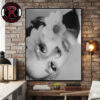 Puscifer Event Poster 2026 At Maverik Center On May 5 2026 Salt Lake City UT Poster Canvas Decor